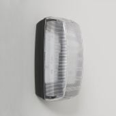 LED Outdoor Wall Light Bulkhead Clear 10W IP65 6500 K